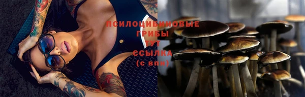 МДПВ Волоколамск