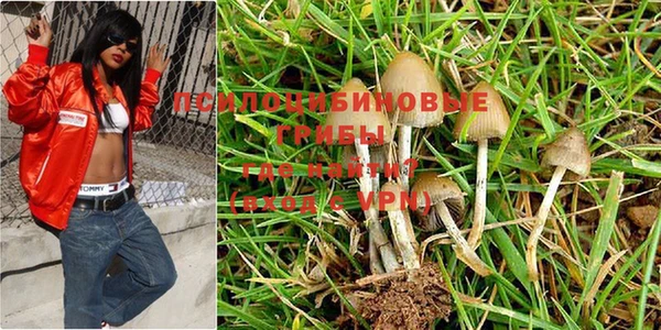первитин Медногорск