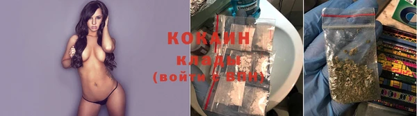 МДПВ Волоколамск