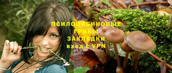 ешки Володарск