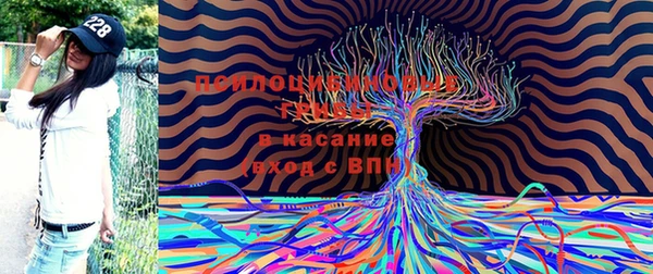 COCAINE Медвежьегорск